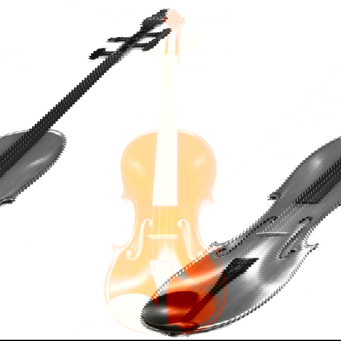 Данил Бирюков