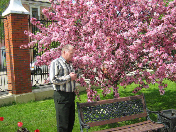 Анатолий Добрынин