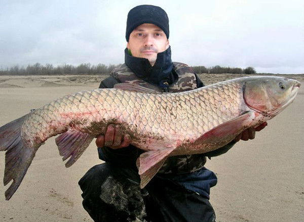 Андрей Бонд