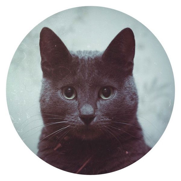 Кирилл Демин