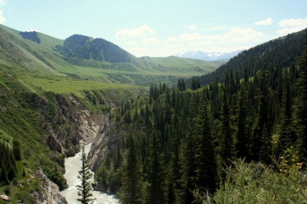 Турдакун Эсеналиев