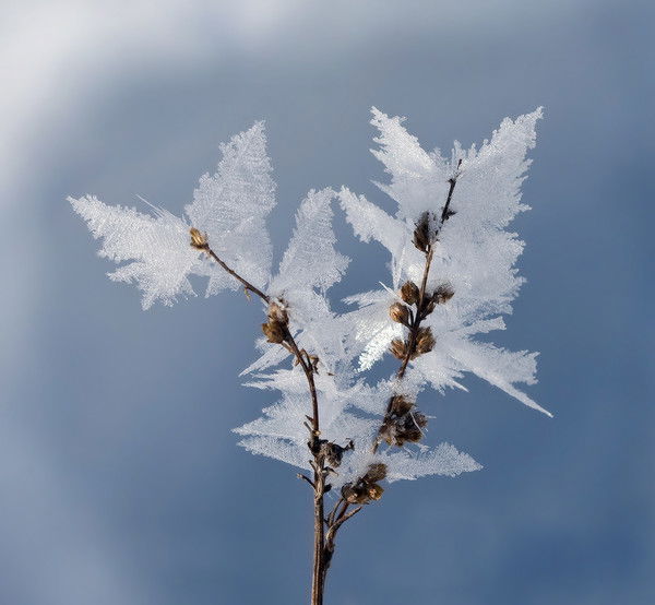 Сергей Хороший