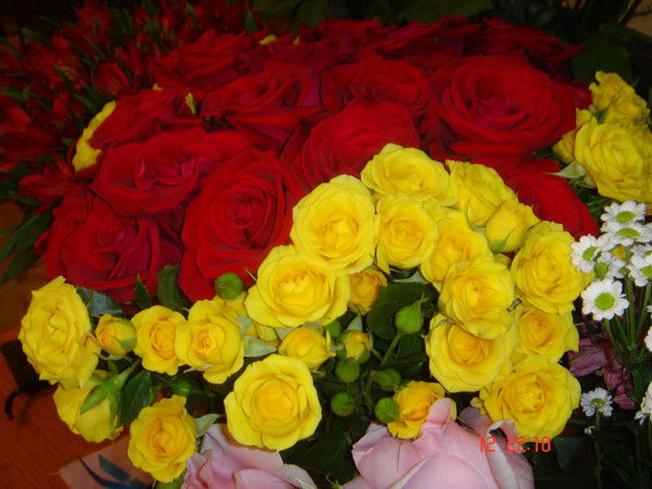 Варвара Седова