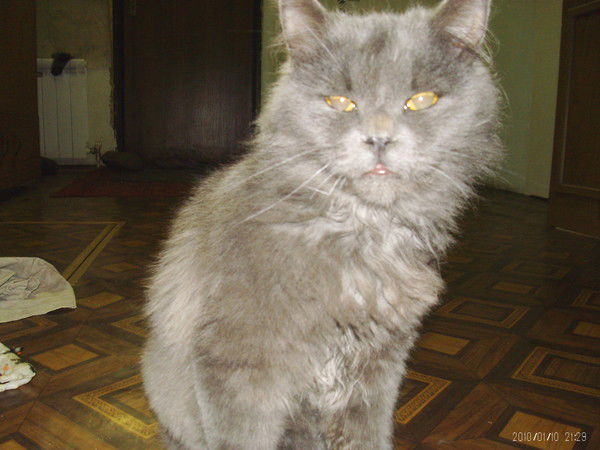 Сергей Кореба