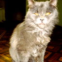 Сергей Кореба