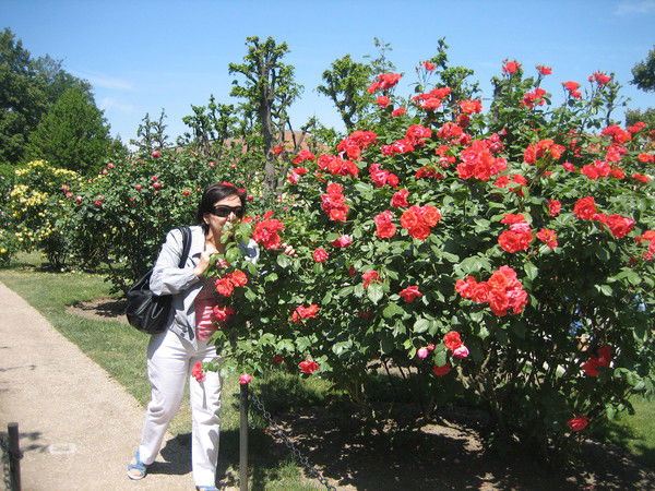 Аккасова Сауле