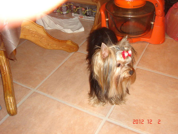 Ольга Рушатова