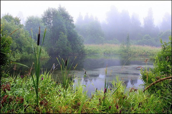 Наталья Мухачева