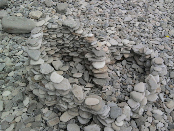 Светлана Ермакова