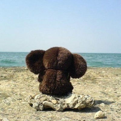 Александра Андреева