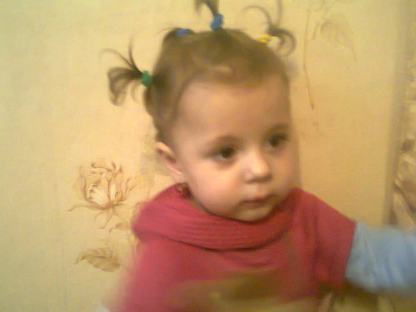 Алексей Яргин