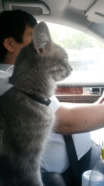 Данияр Джумабаев