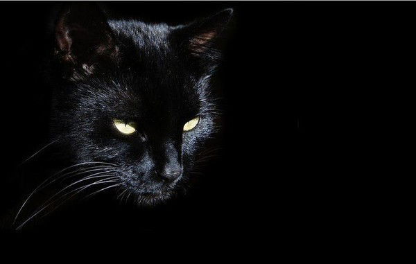 Светлана *****