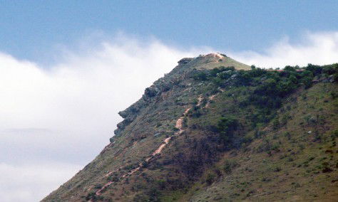 Шамиль Шахшаев