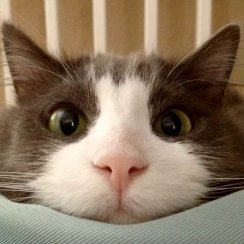 Игорь Куприянов