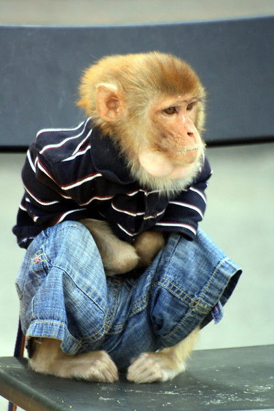 Алексей Вычиков