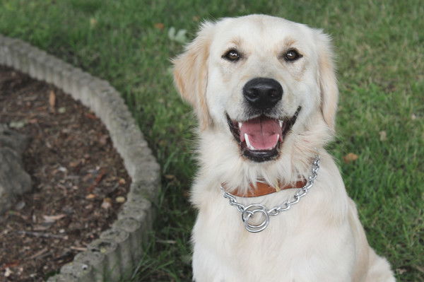 Сервер Матхамузянов