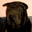 Николай Бойко