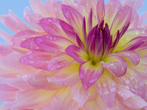 Арай Закирина