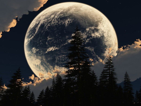 Антон Дендин