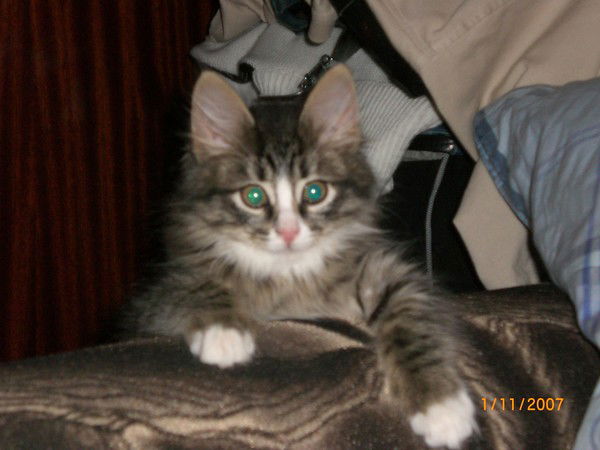 Анна Духанина