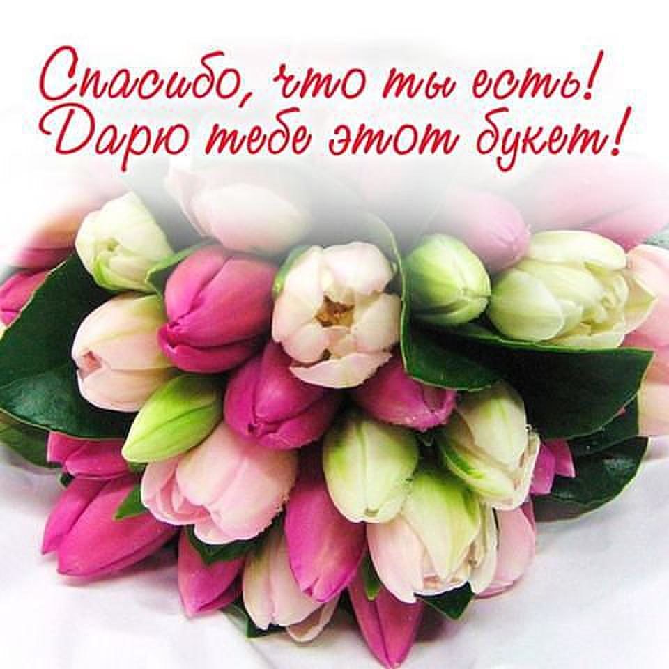 Пелагея Миронович