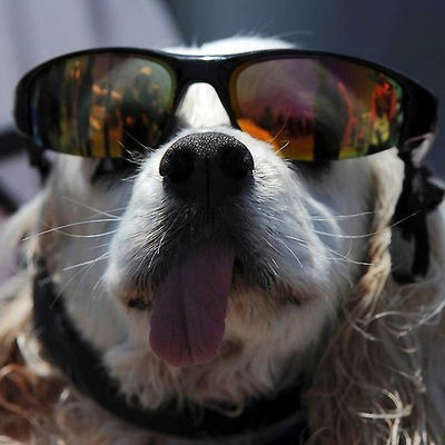 Иван Адоньев