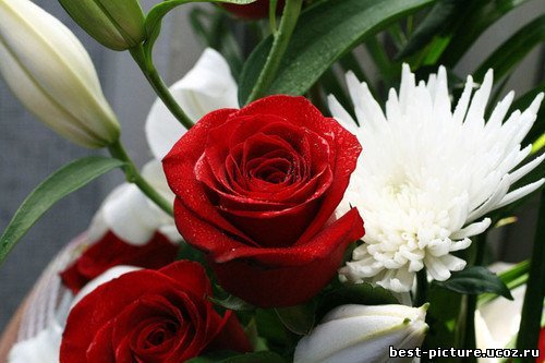 Улжан Айтубаева