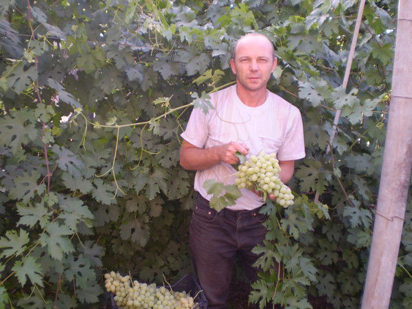 Андрей Биленко