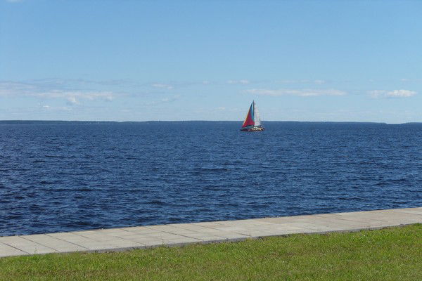 Светлана )))))