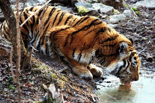 Ольга Титкова