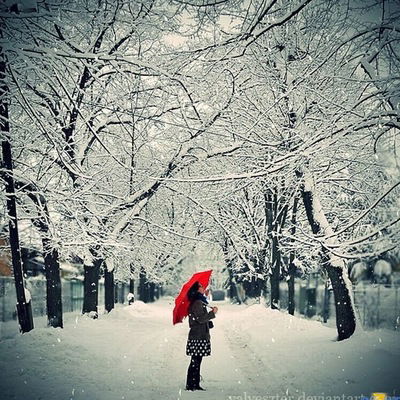 Аня Плотникова