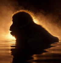 Руслан Бекетаев