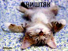 Елена Филатьева