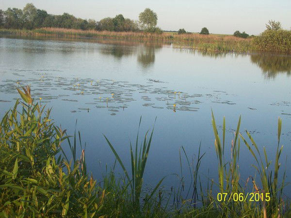 Светлана Сахарова