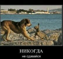 Вадим Казанцев