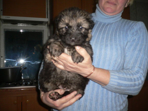 Валерия Слесаренко