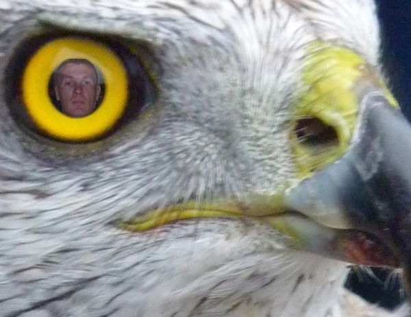 Сергей Кабаков