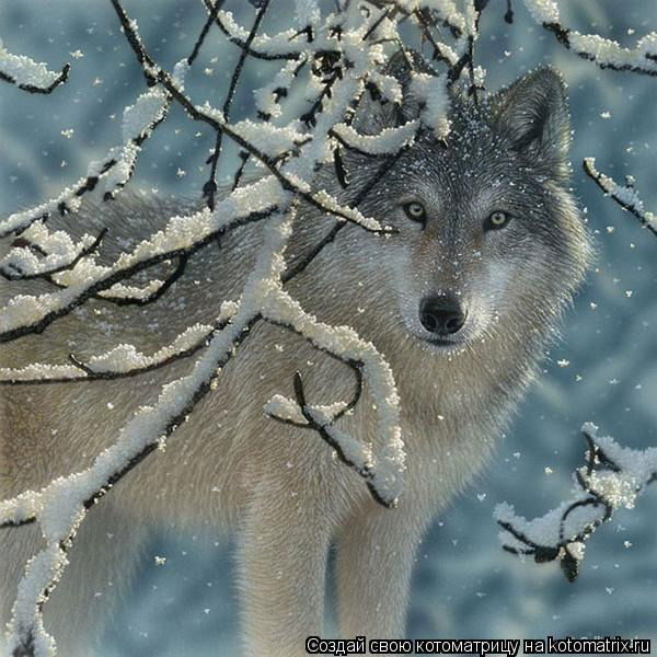 Оксана Кузяева