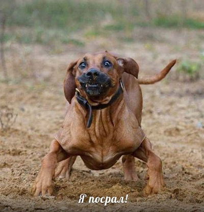 Александр Скиданов