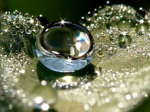 Олеся Егорова