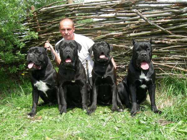 Виктор Лобач