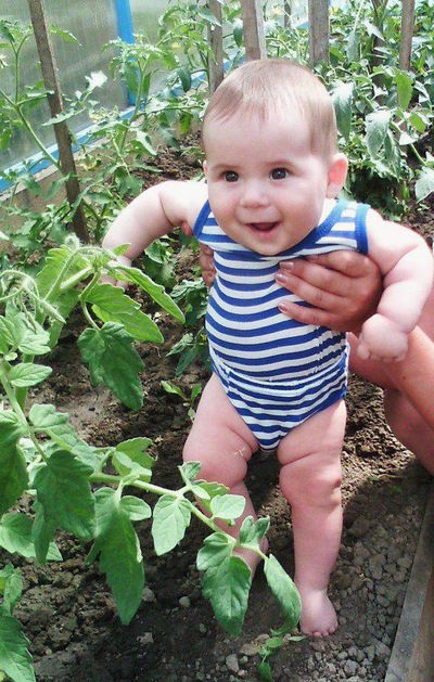 Екатерина Арсенина