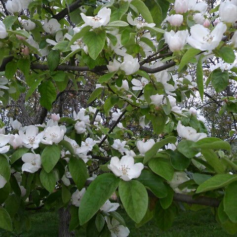 Нурсултан Ратбек