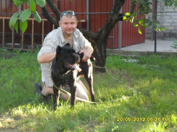 Алексей Алексеев