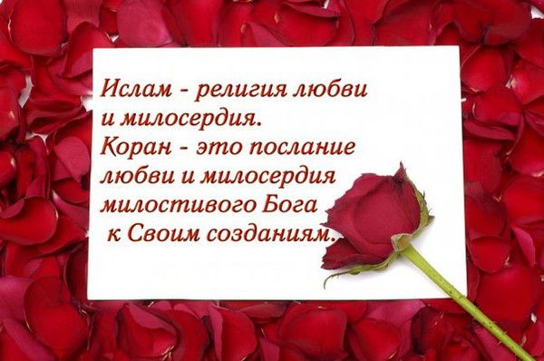 Ажар Бекберген