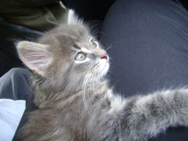 Кирилл Щербаков