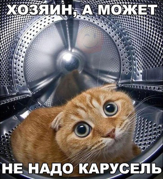 Васыль Шэкмарь