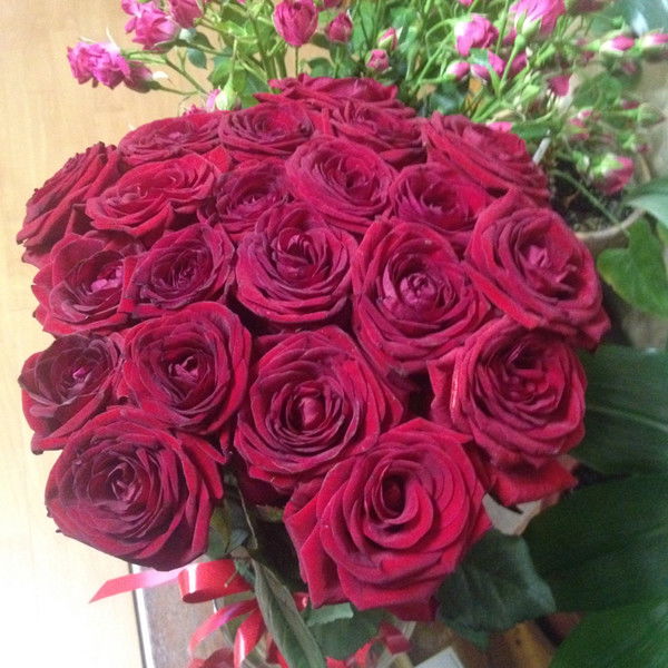 Даша Марданова