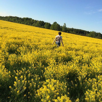Маргарита Глазырина